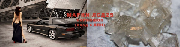 СК Белокуриха